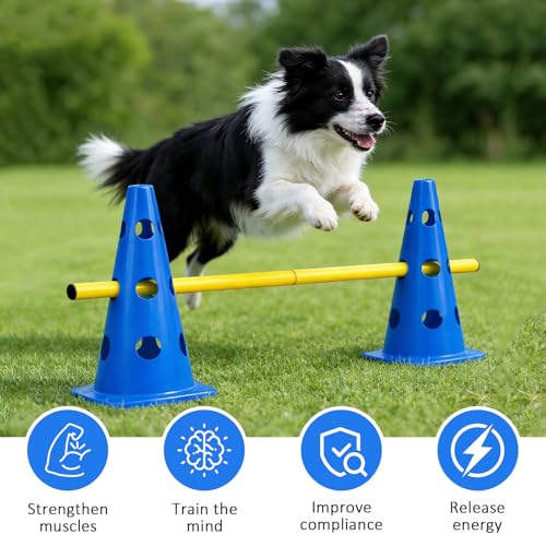 Kit d'obstacles multifonctions pour canaliser l'énergie des chiens - 4