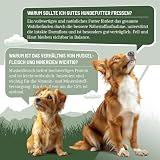 ReaVET Premium Hunde Nassfutter - Rind an Kartoffeln & Apfel 6 x 800g I mit hohem Fleischanteil & viel Muskelfleisch, Getreidefrei, Hundefutter nass, ohne Zucker