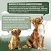 ReaVET Premium Hunde Nassfutter - Rind an Kartoffeln & Apfel 6 x 800g I mit hohem Fleischanteil & viel Muskelfleisch, Getreidefrei, Hundefutter nass, ohne Zucker