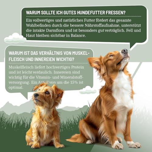 ReaVET Premium Hunde Nassfutter - Rind an Kartoffeln & Apfel 6 x 800g I mit hohem Fleischanteil & viel Muskelfleisch, Getreidefrei, Hundefutter nass, ohne Zucker