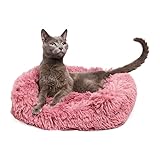 EveryYay by Petco Essentials Step in Nester Cat Bed 18