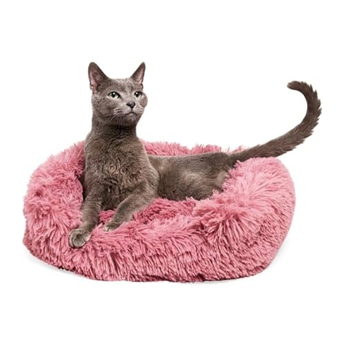 EveryYay by Petco Essentials Step in Nester Cat Bed 18