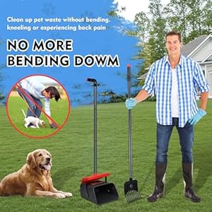 Pooper Scooper Swivel Bin  Rake for Large Medium Small Dogs Nonbreakable Dog Poop Scooper with 20 Waste Bags Easy to Clean Pet Waste Use for Yard Grass Dirt or Gravel  Pet Supplies  Cucciolini Doodles Pooper scooper swivel bin  rake for large medium small dogs non breakable dog poop scooper with 20 waste bags easy to clean pet waste use for yard grass dirt or gravel  pet supplies   cucciolini doodles