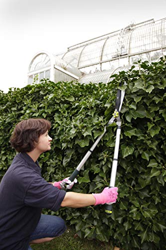 Spear & Jackson 8120KEW Kew Gardens Teleskop-Heckenschere – Ansicht 4