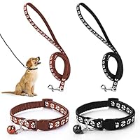 Molain Hundehalsband und Leine, 2er Set, verstellbares Haustier Hundehalsband mit Leine strapazierfähiges Trainingsleinenseil Schnellverschluss Schnallenhalsband für kleine Hunde Katzen Welpen