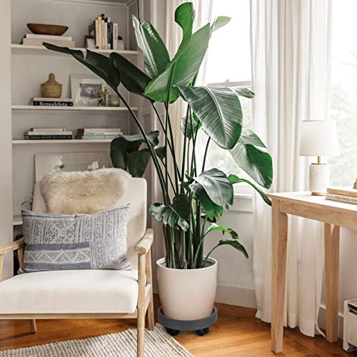 Ziqi 3Pcs 10 Inch Gray Plant Caddy, Round Flower Pot Mover, Dolly Planter Caddies With Wheels For Outdoor/Indoor Pallet Saucer Heavy Duty Garden - Loading Capacity 130 Lbs #TOP4