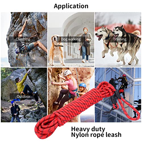 Image of Long Dog Leash for Training 30Ft-Reflective Nylon Rope with Swivel Hook-Recall Agility Lead for Large Small Medium Dogs Outside Walking Hiking-Red