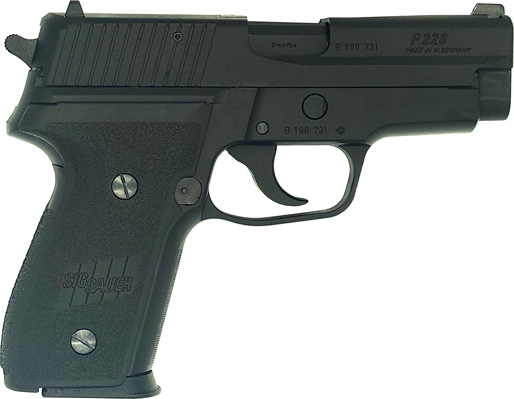 ヴィンテージ　カンタキルト　レア　インド　高級　手仕事　大幅値下げ Martin 【現物動画あり】Grand J-28E DN #2953384 【ダブル