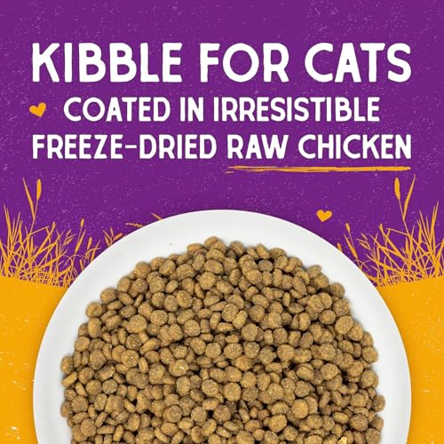 Stella & Chewy's Raw Coated Cat Food - High Protein, Grain-Free Kibble with Cage-Free Chicken - Premium Digestive Support with Probiotics - Natural Small Kibble - Perfect For Picky Eaters - 2.5lb Bag - image 5