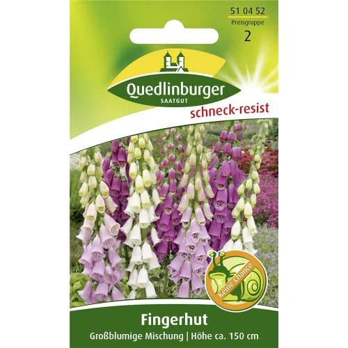 Fingerhut, Großblumige Mischung