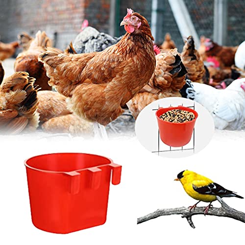 20Pcs Chickens Rabbit Feeders For Cage,Hanging Chicken Water Feeder Cup,Plastic Birds Feeders Seed Bowl,Chicken Feeder For Pigeon Gamefowl Rooster Rabbit Poultry,For Treats Grit(Red) #TOP1