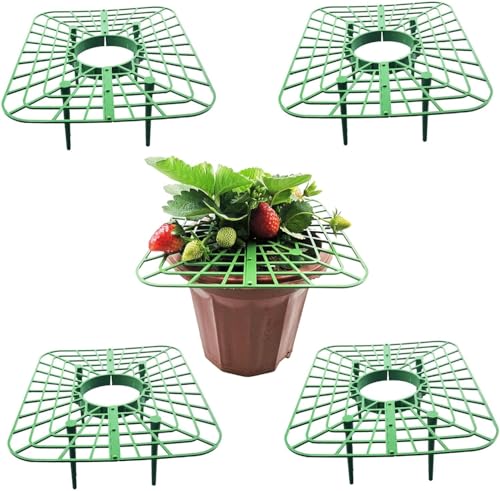 KJOET イチゴ棚 いちご 苺 苗 栽培 プランタースタンド 屋外 園芸 支柱 ジョイント 誘引 ミニトマト ナス イチゴ サポート 園芸支柱 イチゴ 支え棚 丸型 組み立て簡単 虫害/腐り防止 イチゴ 誘引作業 設置簡単 結束用品 Strawberry
