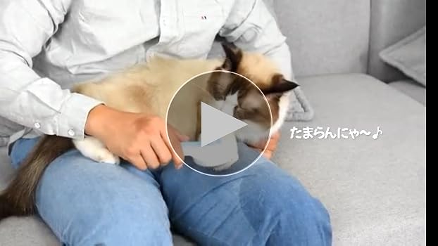 Amazon.co.jp: PHOENIVER 【獣医監修】猫ブラシ 犬ブラシ 猫くし