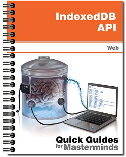 IndexedDB API: Quick Guides for Masterminds (English Edition)