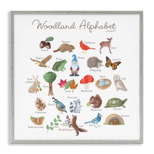 Woodland Alphabet Wildlife Learning, 12 x 12 Inch Framed Giclée Print