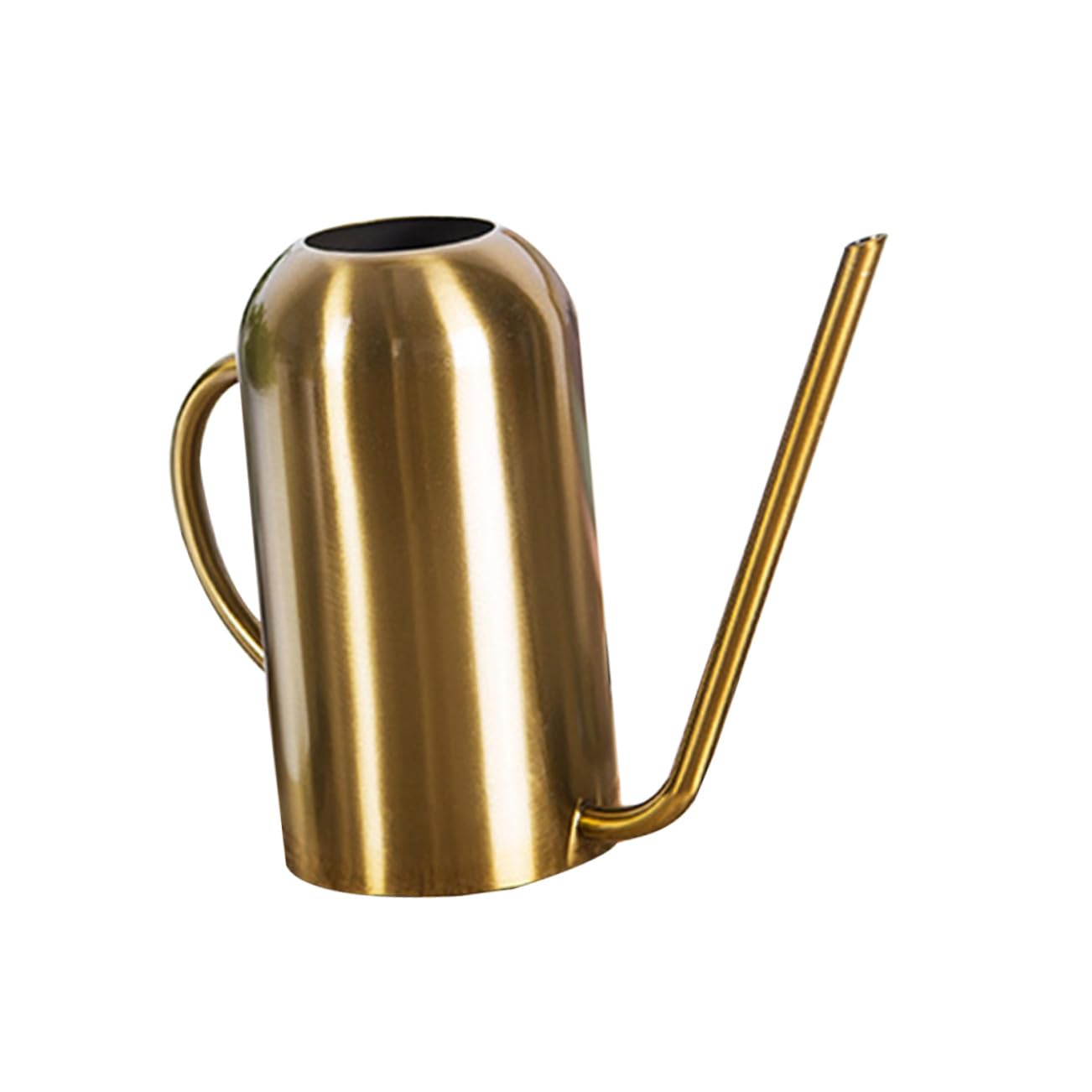 BESTonZON Arrosoir à Long Bec Acier Inoxydable Outil de Jardinage pour Ménage et Jardin Verseur Fluide et Stable