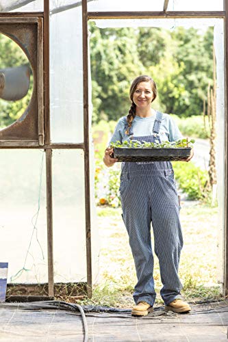 Dickies Women's Bib Overall 100% Cotton Denim With Scuffgard, Rinsed Hickory Stripe, Medium #TOP4