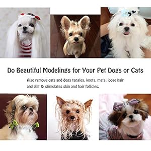 3 pcs dog comb pet cat grooming combs for matted shedding or knotted hair stainless steel medium coarse tunan metal anti knot hair combs for small and large dogs cats   cucciolini doodles