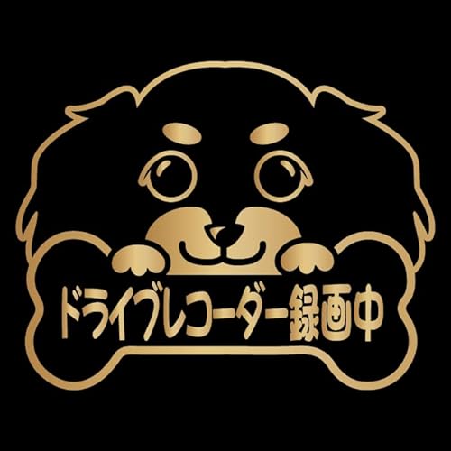 _bNXth  XebJ[ hCuR[_[^撆 S^] ^] 댯^] h~ ΍ h   Gu V[ fJ[ ANZT[ uh AEghA ObY G   _1603 (S[h)