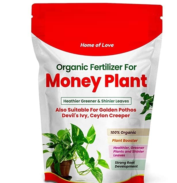 Money Plant Essential Organic Fertilizer, Heathier Greener and Shinier Leaves for Indoor and Outdoor Gardening (0.25) (B09WYP8XF7) Amazon Price History, Amazon Price Tracker