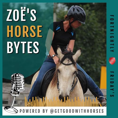 102. Resetting after a bad ride