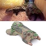 Jiameajani Reptile Vivarium Tortoise Aquarium Fish Tank Hiding Cave House Underwater Decor Escape...