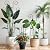 2 Pack 30 Inch Taller Plant Trellis for Potted Climbing Plants Indoor,Expandable Metal Garden Trellis for Climbing Plants,Flowers Vine Ivy, Sturdy Houseplant Support for Potted Plants with Ties