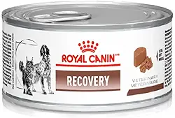 ROYAL CANIN Ração Lata Canine E Feline Recovery Wet 195G