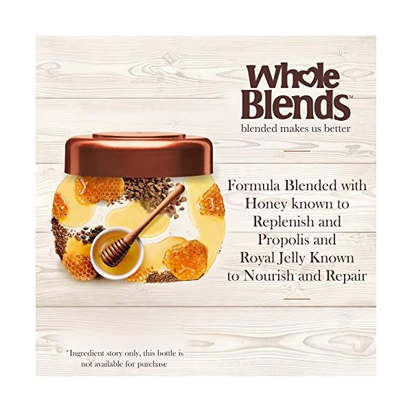 Garnier-Whole-Blends-Honey-Treasures-Repairing-Hair-Mask-for-Dry-Damaged-Hair-101-Fl-Oz-Pack-of-2 Garnier Whole Blends Honey Treasures Repairing Mask, for Dry, Damaged Hair, 10.1 Fl Oz, 2 Count (Packaging May Vary)