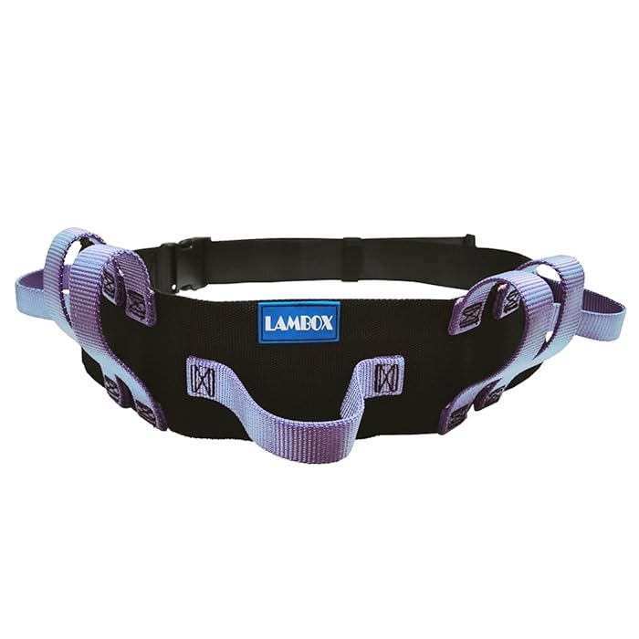Buy LAMBOX Gait Belt Transfer Walking Belt with Multi Handles Walking