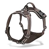 Chai's Choice Best Outdoor Adventure Dog Harness. 3M Reflective Vest with Handle and Two Leash Attachments.Caution Please Use Sizing Chart at Left Before Ordering! Matching (Medium, Chocolate)