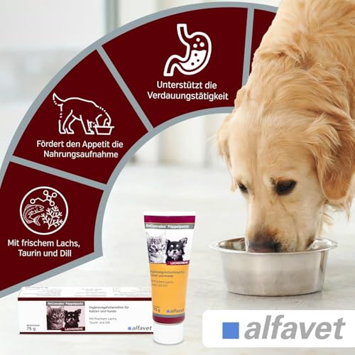 Alfavet ReConvales Päppelpaste - Bundle - 3 x 75 g