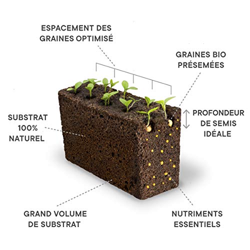 Véritable Lingot® Coriandolo - Compatibile con