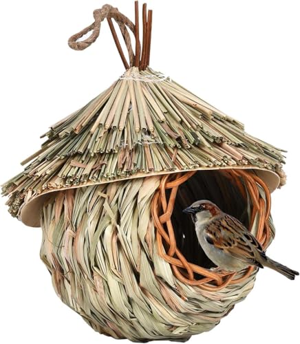 Maison de Colibri Exterior - Accrochez Les Poches de Nido de Ave Cage de cabaña a Aves Naturales Exterior, para decoración de Campaña de Jardín Exterior de hábitat de Aves