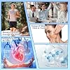 قطرات سائلة من مركب ميثيل ب، مركب ميثيل ب متعدد الفيتامينات الكامل. 5-mthf ميثيل فولات إينوزيتول وكولين، مركب سوبر بي ميثيلي لدعم Mthfr، طاقة مزاجية صحة الأعصاب والدماغ