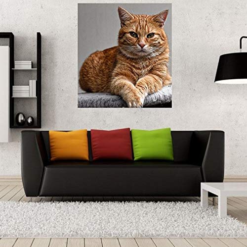 Poster Mignon chat roux couché dans le lit sous une couverture