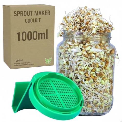 Image of Marve Sprouts Maker Glass Jar - 720ml Durable & Reusable Sprouter for All Seeds and Beans, BPA-Free with 300-Hole Mesh Lid for Airflow, Odor-Free, Easy Drainage, and Hygienic Glass Design - Green