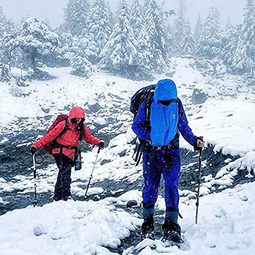 10 Pack Trekking Pole Tips, Hiking Sticks Tips Protectors Fits Most Common Trekking Poles, Hiking Sticks, Nordic Walking Poles #TOP3