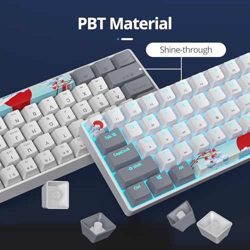 Image of 60 Percent Gaming Keyboard 61 Keys Wired Mechanical Keyboard Ultra Compact Key Board Red Switch LED Backlit for Windows Laptop Gamer(61Huibai)