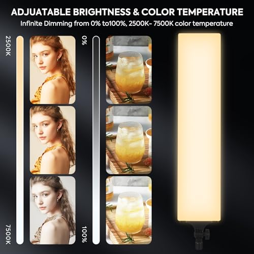 SEDGEWIN 2 Pack LED Videolicht 23.6', Dimmbare 2500-7500K Vollbild Streaming licht Studiolicht 36W Fotolicht Videoleuchte mit Fernbedienung 2M Stativ für Fotografie/Videokonferenz Beleuchtung/YouTube