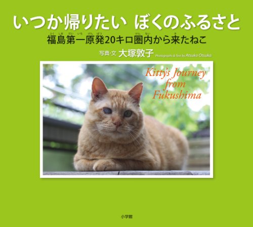 いつか帰りたい ぼくのふるさと: 福島第一原発20キロ圏内からきたねこ