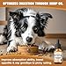 ziehooGe (2 Pack Pet Hemp Oil for Dogs & Cats, Help Anxiety Strees, Hip & Joint Pain Relief, Relax Sleep, Organic Pet Calming Drops