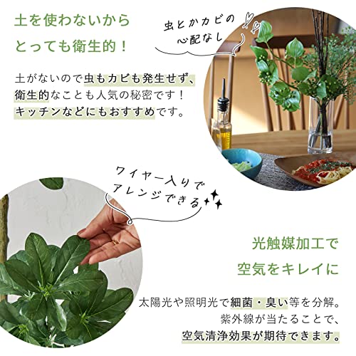グラムスタイル 観葉植物 フェイクグリーン 光触媒 シェフレラ カポック 高さ90cm×幅50cm×奥行50cm 造花 インテリアグリーン 大型 [4]