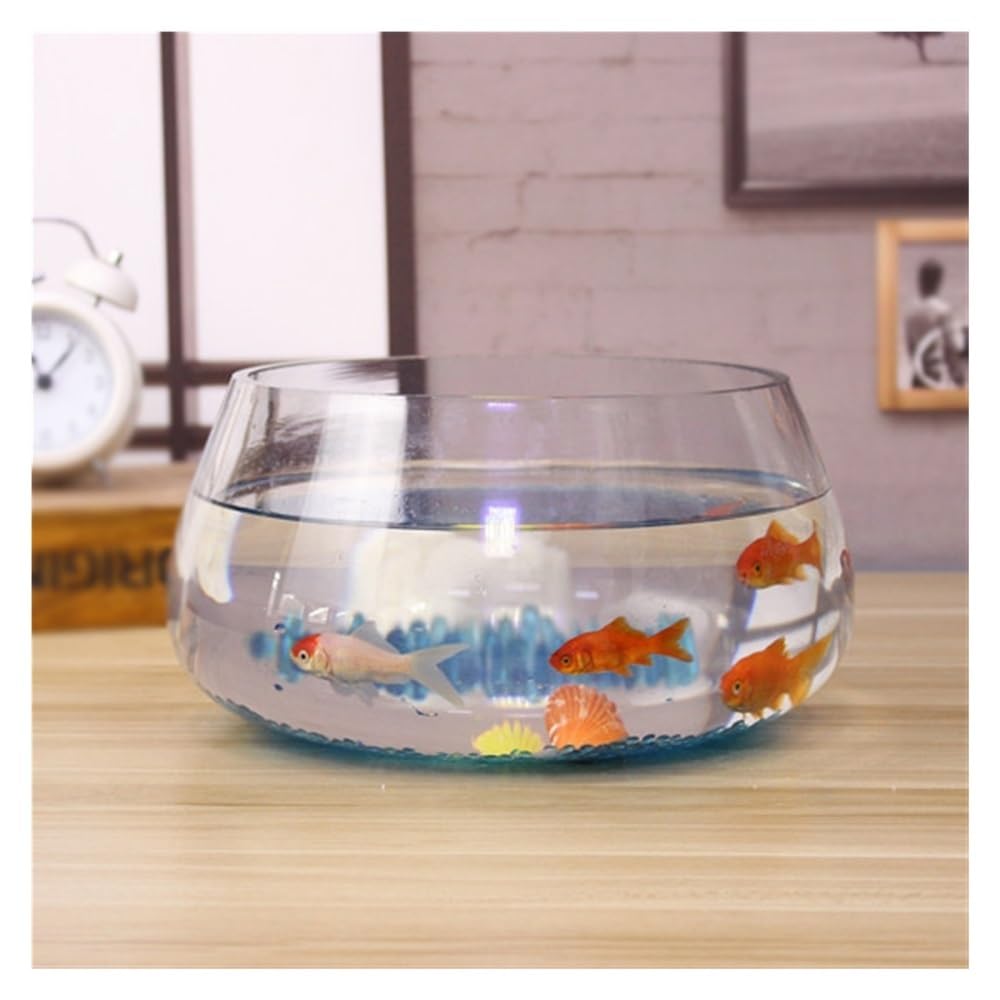 Aquarium Rundes, ökologisches, kleines, transparentes Aquarium aus Glas for Zuhause und den Schreibtisch – ideal for Bepflanzen.(25cm)