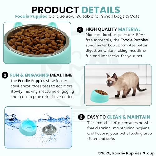 Image of Foodie Puppies Elevated Cat Bowl - (Oblique, Blue) | 15 Tilted Bowl Food & Water Drinking Feeder with Non-Skid Base | Durable, Anti-Vomiting, Stress-Free Bowl Suitable for Cats, Puppies & Small Dogs