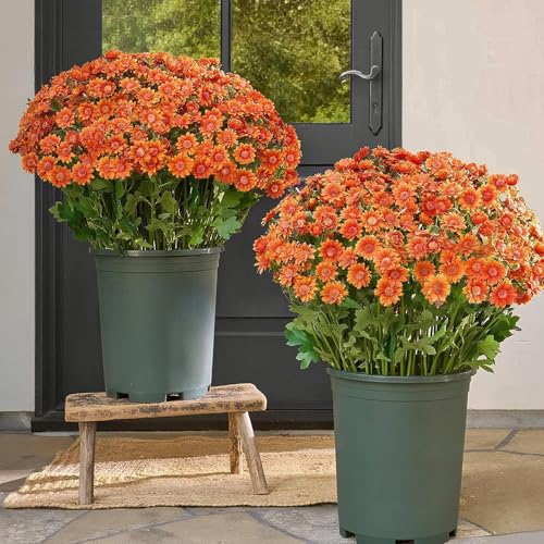 Fleurs artificielles Mums pour embellir un balcon sans arrosage - 3