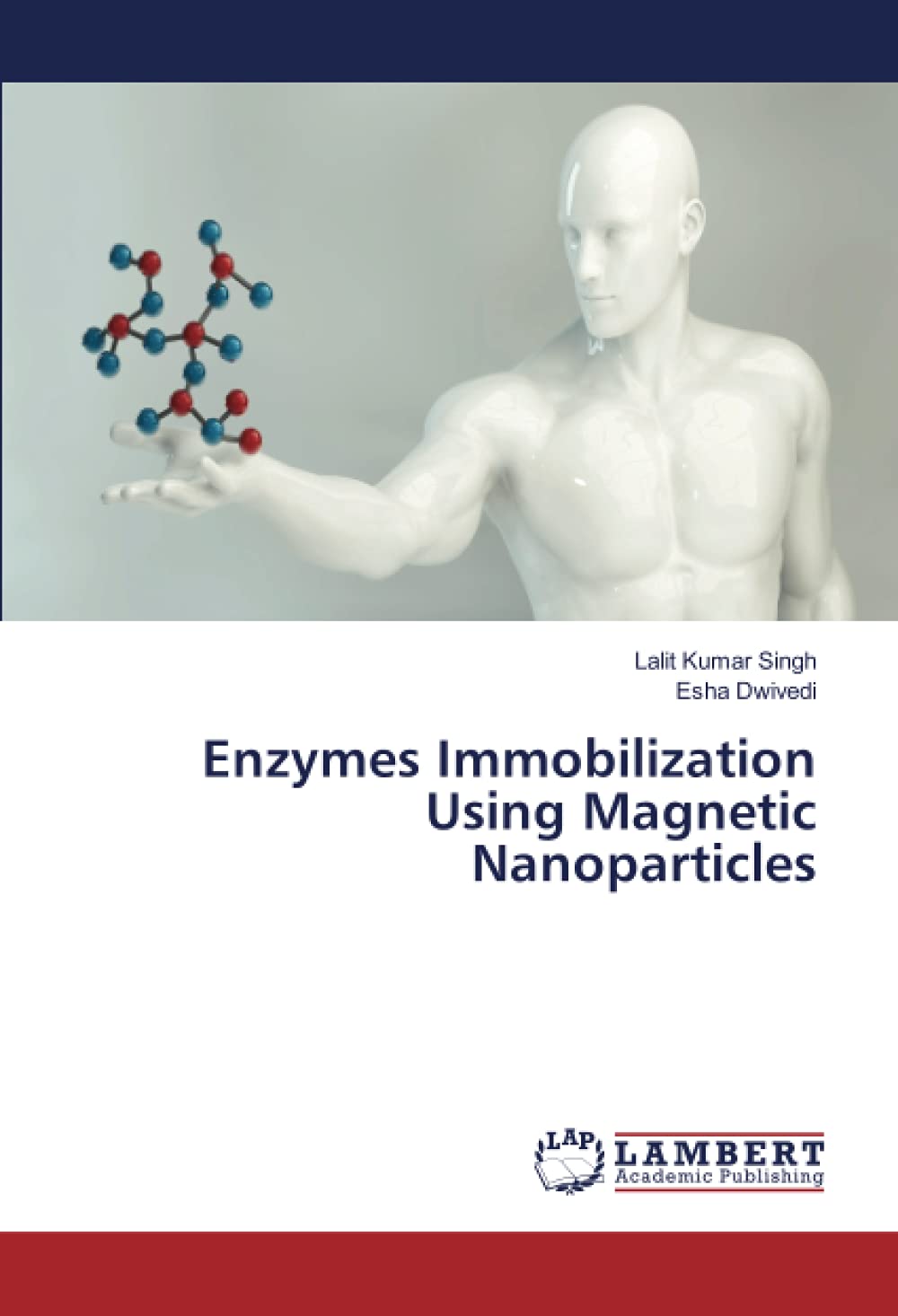 Enzymes Immobilization Using Magnetic Nanoparticles