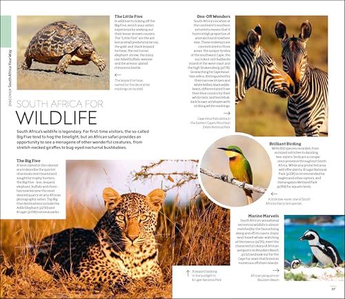 Image of DK South Africa: Must-See Sights. Culture & History. Detailed Maps & Tours. Covers Cape Town, Kruger National Park, & more (Travel Guide)