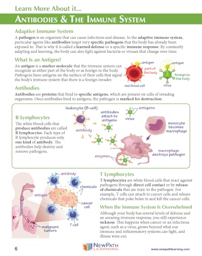 Image of NewPath RNA Vaccines 3-D Paper Model Making Kit - Individual Student Edition (24-7737)