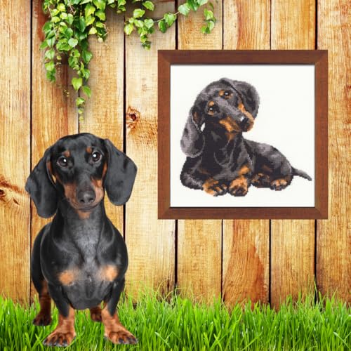 Image of RIOLIS - Dachshund 906, Dogs Cross Stitch Kits 9,84 inch x 9,84 inch, Counted Cross Stitch Kits, Counted Cross Stitch Kits for Beginners & Advanced, Cross Stitching Kits for Adults, Dog Embroidery Kit
